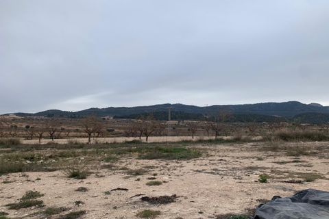 Terra a Pinoso, Alicante, Pinoso - € 125.000 | Ref: V0046-22 - foto 9